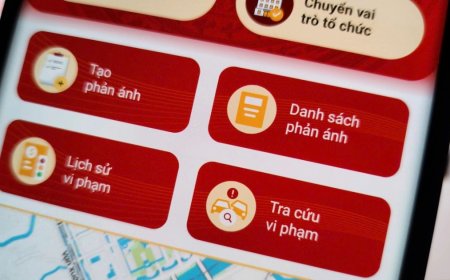 Cách quản lý xe đứng tên, kiểm tra phạt nguội giao thông bằng VNeTraffic