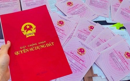 Hướng dẫn cách khai báo thông tin sổ đỏ qua VNeID