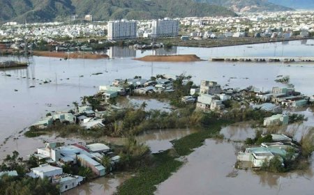 New Zealand hỗ trợ Việt Nam 1 triệu NZD khắc phục hậu quả thiên tai